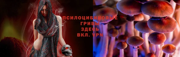 дурь Каменка