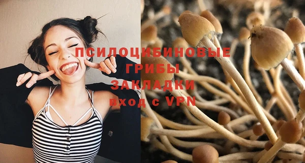 дурь Каменка