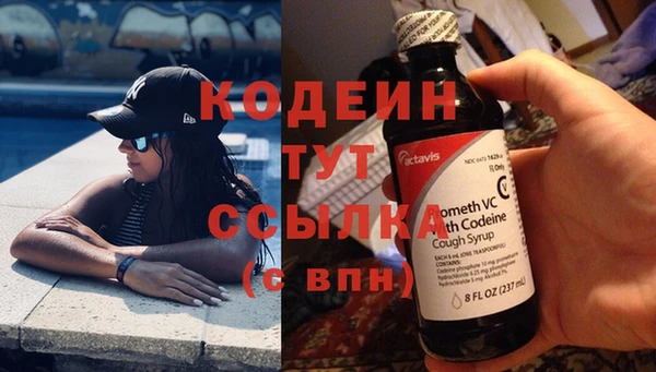 дурь Каменка