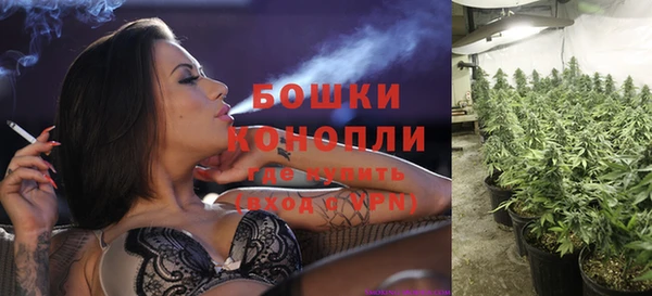 гидропоника Каменногорск