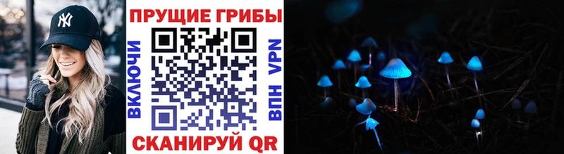 Купить где  Лихославль  Галлюциногенные грибы Cubensis 